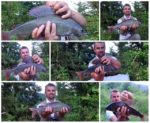 collage markovi lipljeni