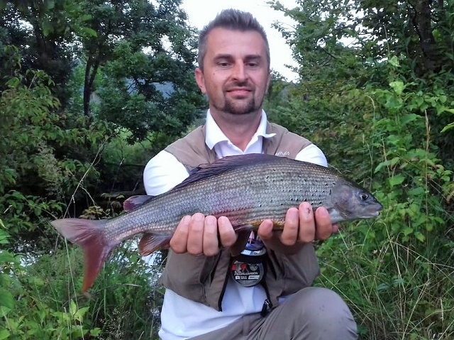 Markovi lipljeni jul 2018.