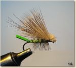 Green skrating caddis