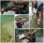 collage lipljan 2