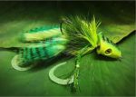frog_grande
