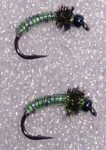 larva lace
