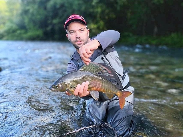 Lipljan 53cm – Mirko Ban