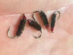 Peacock midges