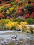 Fly fishing in Utah