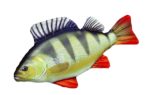 fish-pillows-perch-