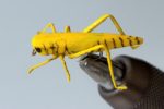 Realistic-Hopper-Yellow
