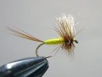 big_2841