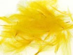 cdc-loose-grade-dyed-golden-yellow-1466688787