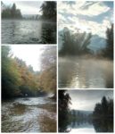 collage dobra