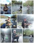 collage takmicari