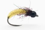 yellow-glass-caddis-pupae