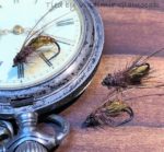 Caddis pupe na satu
