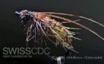 caddis pupa