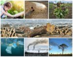 collage iyvestaj o unistavanju planete web