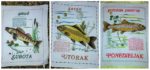 collage kuhinjske krpe