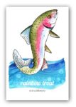 rainbow_trout_postcard