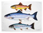 tea_towel_trout_salmon_new_900px