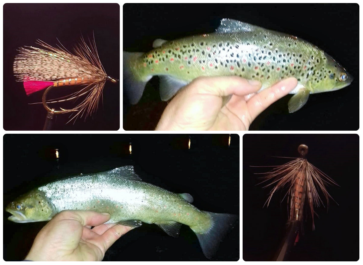 Velikim muhama na velike divlje pastrve