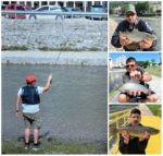 collage musicarenje u uzicu