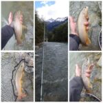 Collage Maker-glava