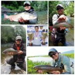 Collage Maker-glava