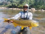 Dorado Dimitar 1