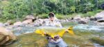 dorado 111