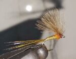 BWO
