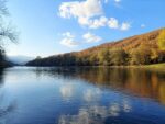 Drina 1