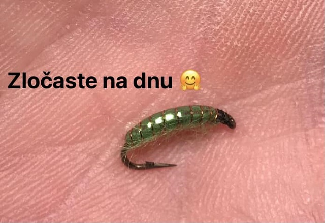 Cetinska larva