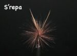 Korjenuša s repa