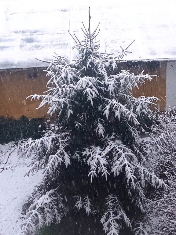 Danas pada sneg i u nižim delovima Srbije