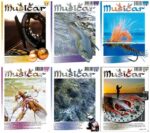 collage brojevi Musicara od 12-17. 2010 godište