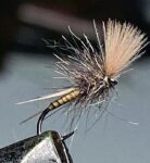 Muva na koju sam je ulovio