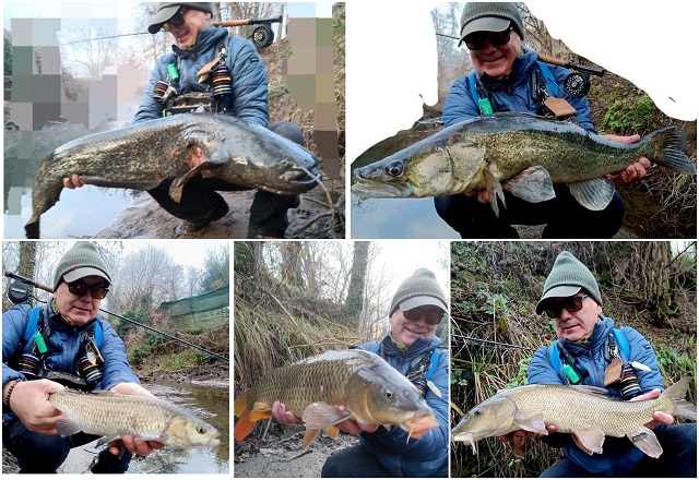 Pet velikih riba za sva vremena na mahač | List MUŠIČAR