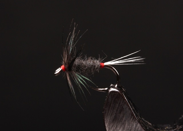 Mokra muha Iron Blue