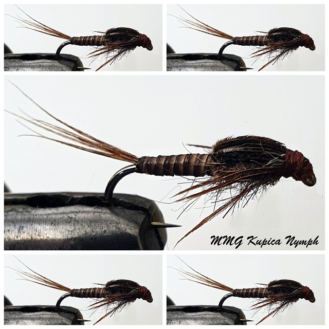 Kupica nymph