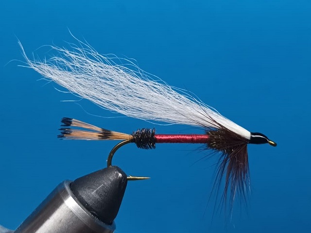 SBS Strimer Royal coachman