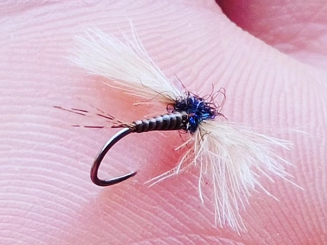 Imitacija spenta Quill