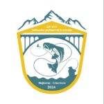 Logo web