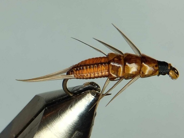 Imitacija nimfe kamenjarke