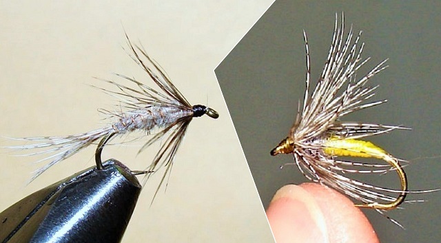 Grey i Yellow wet muve tipa spiders