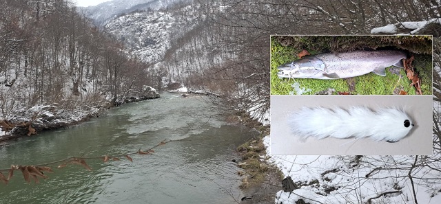 Mladica i lipljan na mušičarski pribor