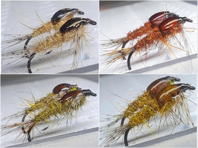 Klasične nimfe zečije uvo