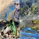 MixCollage-13-Mar-2025-Temska 3