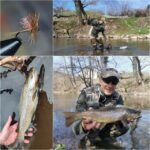 MixCollage-17-Mar-2025-glava
