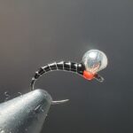 zebra midge 1