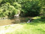 IMG_20250601_153921