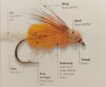 Sparkle pupa 1